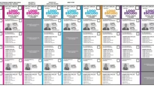 La reforma electoral se traba por las colectoras