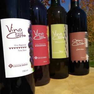 Se viene la 23 Fiesta Provincial del Vino de la Costa