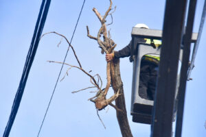 Corte de tránsito en calle 61 por tareas de mantenimiento
