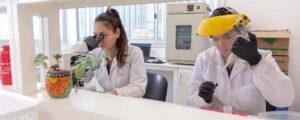Abren la inscripción para becas doctorales