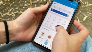 Las fintech concentran casi 40% del crédito familiar