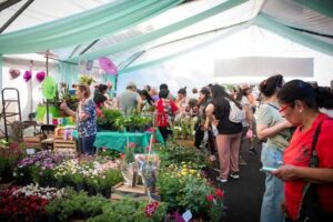 Moreno celebra la 24° Fiesta del Plantín Floral