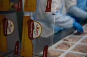 Ordenan reincorporar a 1.200 trabajadores de una avícola
