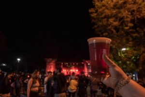 Se viene la 6ª Fiesta de la Cerveza