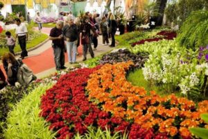 Un fin de semana de fiestas populares en la Provincia